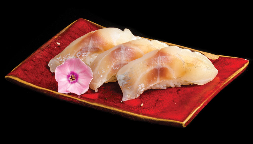 shibasa sushi okoń morski